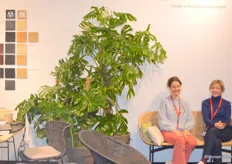De zussen Christa en Marleen Frimout van Feelgood Designs maakt meubilair van natuurlijke materialen.
